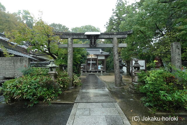 山城 枇杷庄城の写真