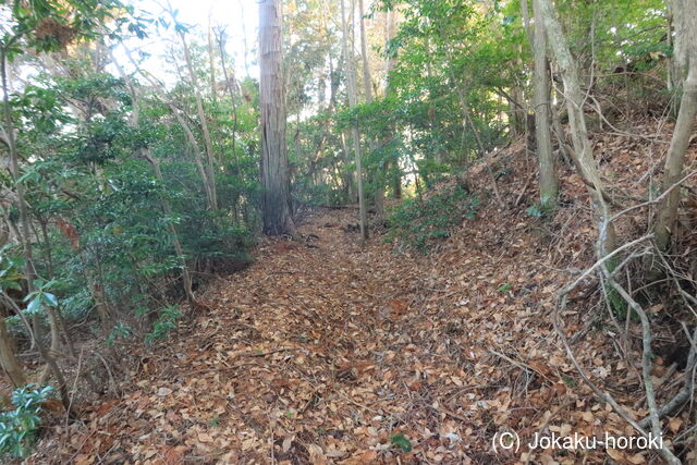 山城 堂ノ庭城の写真