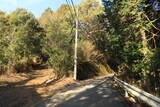 山城 堂ノ庭城の写真