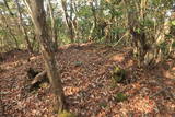 山城 堂ノ庭城の写真