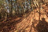山城 堂ノ庭城の写真