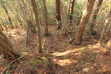 山城 堂ノ庭城の写真