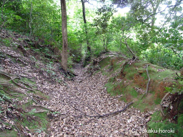 山城 船岡山城の写真