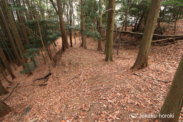 山城 一乗寺山城の写真