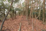 山城 一乗寺山城の写真