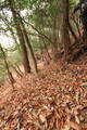 山城 一乗寺山城の写真