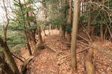 山城 一乗寺山城の写真