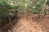 山城 一乗寺山城の写真