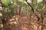 山城 一乗寺山城の写真