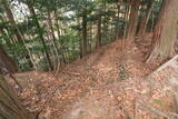 山城 一乗寺山城の写真