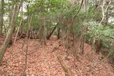 山城 一乗寺山城の写真