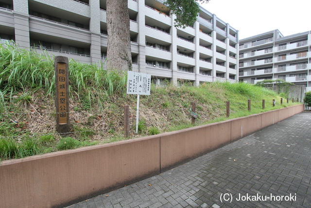 山城 開田城の写真