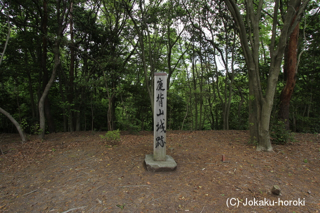 山城 鹿背山城の写真