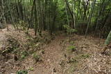 山城 鹿背山城の写真