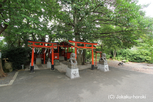 山城 革島城の写真