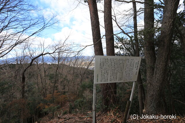 山城 北白川城2-1の写真