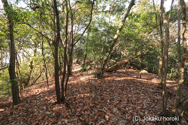 山城 北白川城2-2の写真