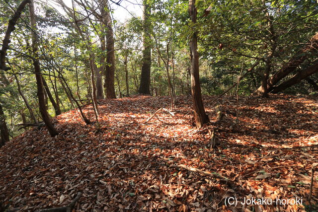 山城 北白川城2-3の写真