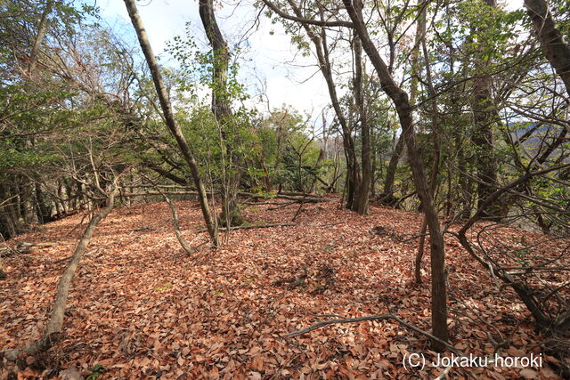 山城 北白川城2-4の写真