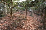 山城 北白川城3の写真