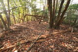 山城 北白川城3の写真