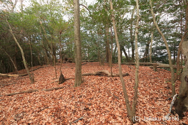 山城 北白川城4-1の写真