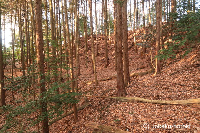 山城 北白川城4-2の写真