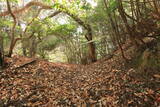 山城 北白川城1の写真