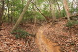 山城 北白川城1の写真