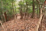 山城 北白川城1の写真