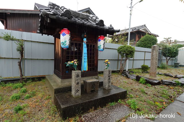 山城 木津平城の写真