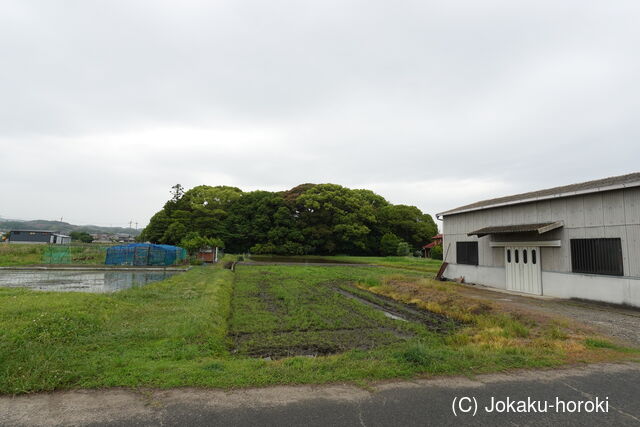山城 草路城の写真