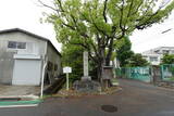 山城 草路城の写真