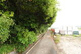 山城 草路城の写真