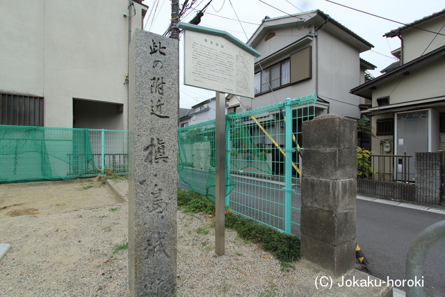 山城 槇嶋城の写真