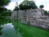 山城 二条城の写真