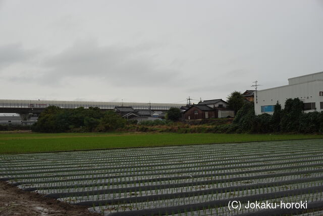 山城 西一口城の写真