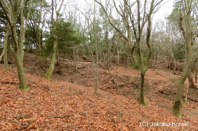 山城 如意岳城の写真