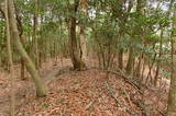 山城 如意岳城の写真