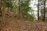山城 如意岳城の写真