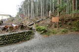 山城 大山出城の写真