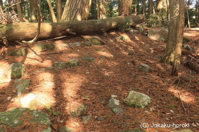 山城 静原城(北城)の写真