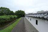 山城 勝龍寺城の写真