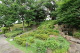 山城 勝龍寺城の写真