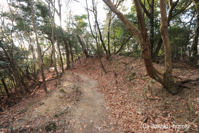 山城 修学院雲母坂城の写真