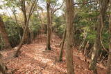 山城 修学院雲母坂城の写真