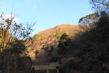 山城 修学院雲母坂城の写真