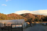 山城 修学院雲母坂城の写真