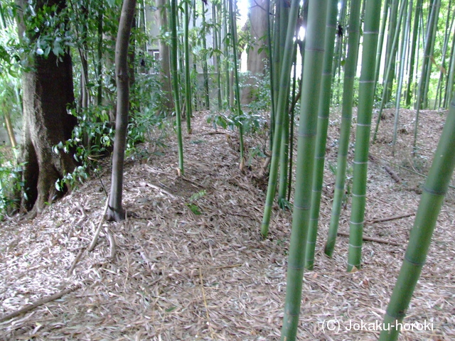 山城 山科本願寺南殿の写真