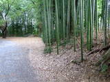 山城 山科本願寺南殿の写真